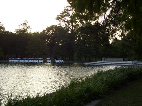 Holiday Inn Express Hotel & Suites HOUSTON MEDICAL CENTER