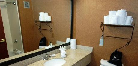 Embassy Suites Denver  International Airport