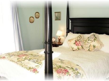 The Maples at Warner