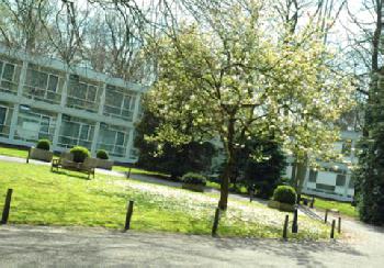 Golden Tulip Amersfoort