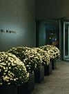 Park Hyatt Zurich