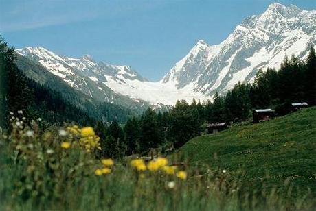 Silencehotel  Edelweiss