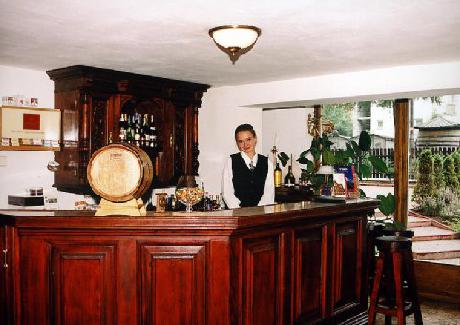 Hotel Czarny Potok