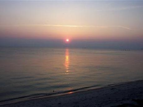 The Baywood Bed and Breakfast