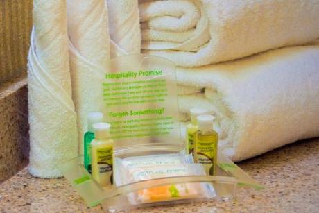 Holiday Inn Hotel & Suites WILLIAMSBURG-HISTORIC GATEWAY