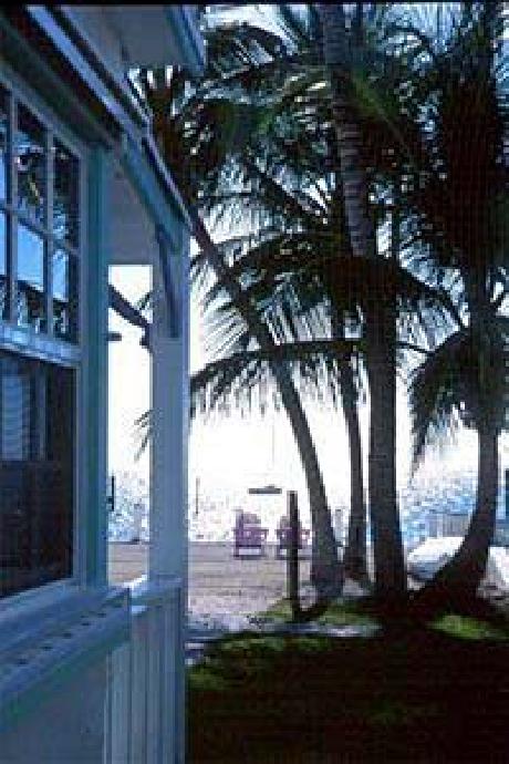 Pines and Palms Resort