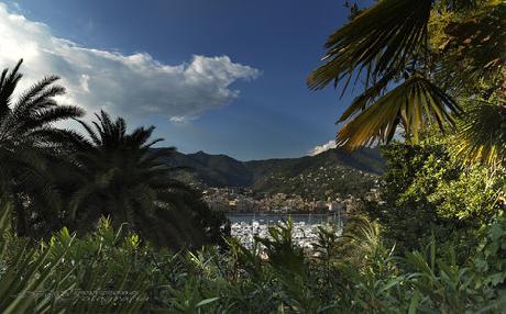 Excelsior Palace Hotel