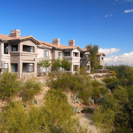 Raintrees Desert Arroyo