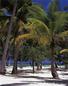 Carabela Beach Resort