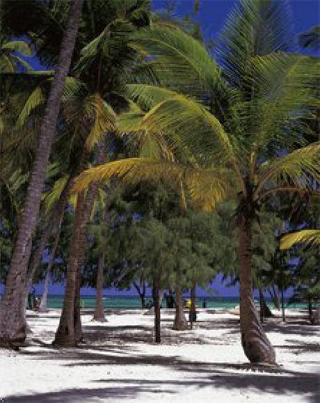 Carabela Beach Resort