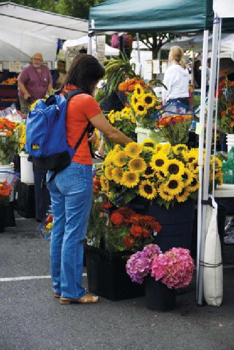 Embassy Suites Portland  Washington Square