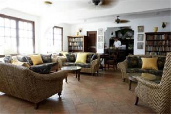 Horned Dorset Primavera