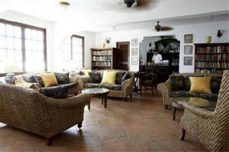 Horned Dorset Primavera