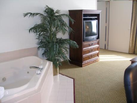 Runnemede Inn and Suites