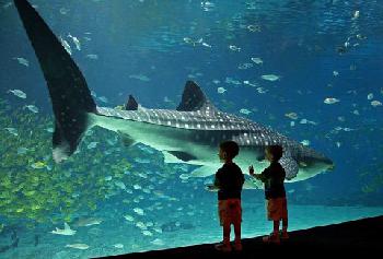 ATLANTA AIRPORT HILTON