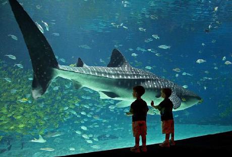 ATLANTA AIRPORT HILTON