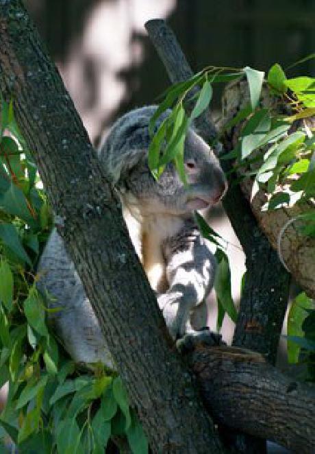 Residence Inn Milwaukee Brookfield