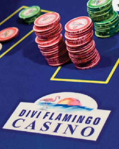 Divi Flamingo Beach Resort and Casino
