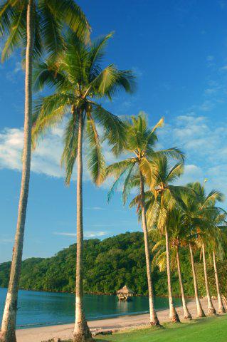 InterContinental PLAYA BONITA RESORT & SPA