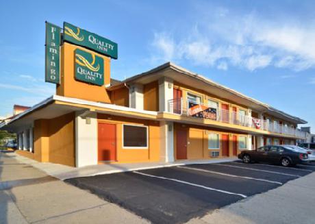 Quality Inn Flamingo