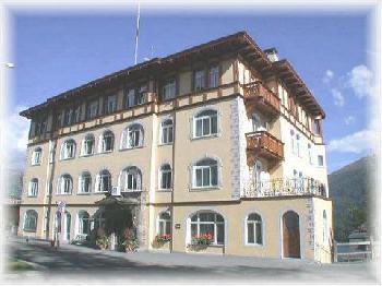 Soldanella St. Moritz