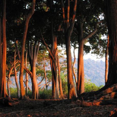 Barefoot at Havelock