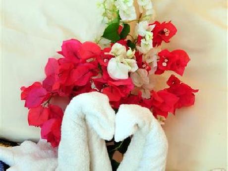 Villa Tortugas Residence