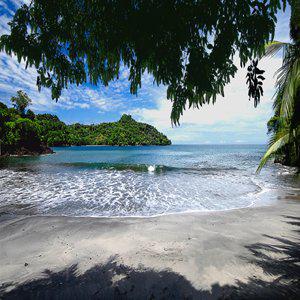 Jet  Luxury  At Buena Vista Luxury Villas