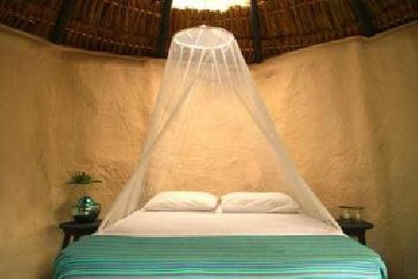 Papaya Playa  A Design Hotels Project