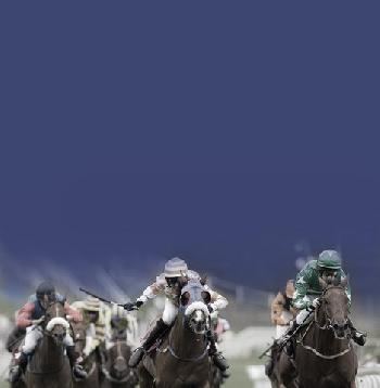 Holiday Inn CHESTER - SOUTH