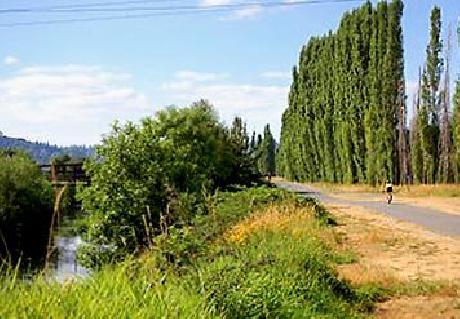 Residence Inn Seattle East/Redmond