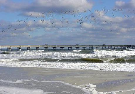 TownePlace Suites Jacksonville Butler Boulevard