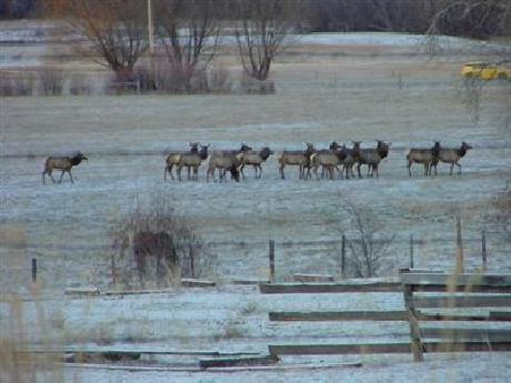 The Darby Bed and Breakfast