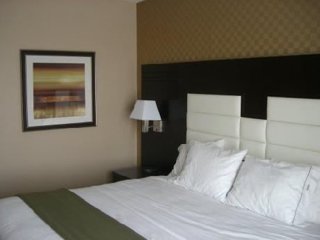 Holiday Inn Express Hotel & Suites OTTAWA WEST - NEPEAN