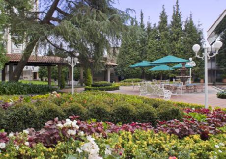 COURTNEY Aff Real del Sur