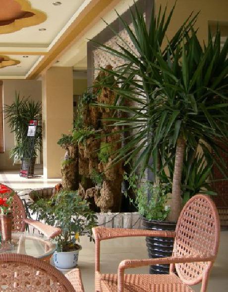 HKY Airport Business Hotel