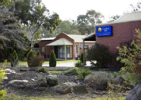 Comfort Inn Coach & Bushmans