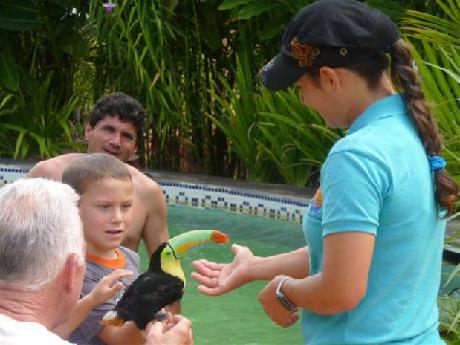 Blue River Resort and Hot Springs