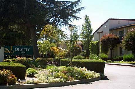 Quality Inn Morgan Hill