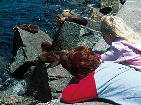 Comfort Inn Monterey by the Sea