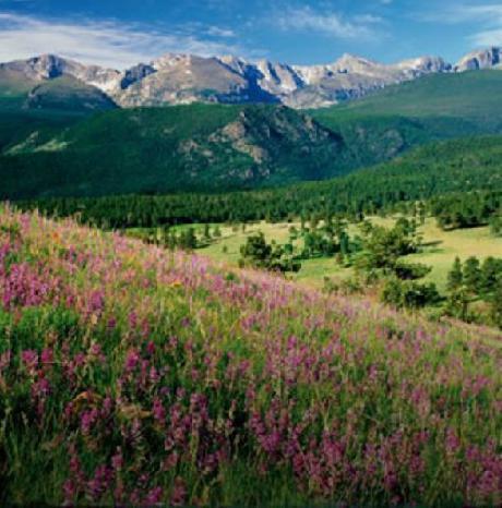 Holiday Inn DENVER EAST - STAPLETON