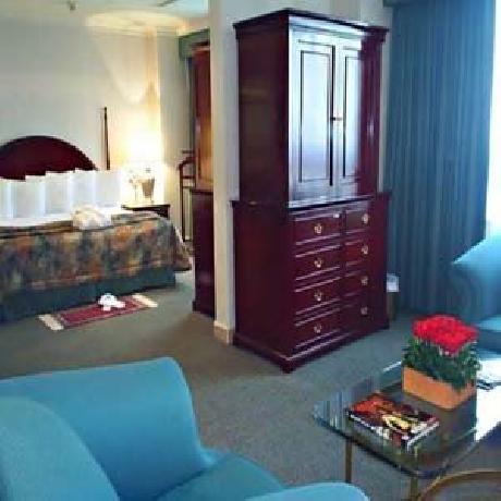 Pedregal Palace Hotel