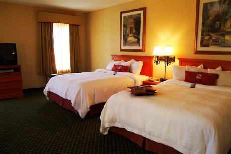 Hampton Inn  Suites St PetersburgDowntown