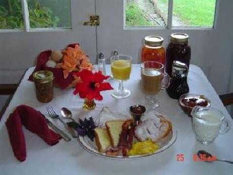 Old Castillo Bed and Breakfast