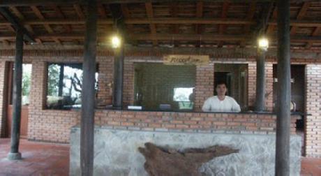 Wild Beach Resort and Spa