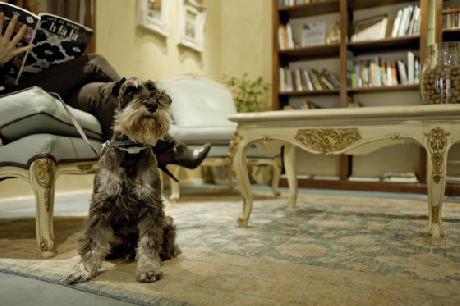 Gran Hotel Conde Duque