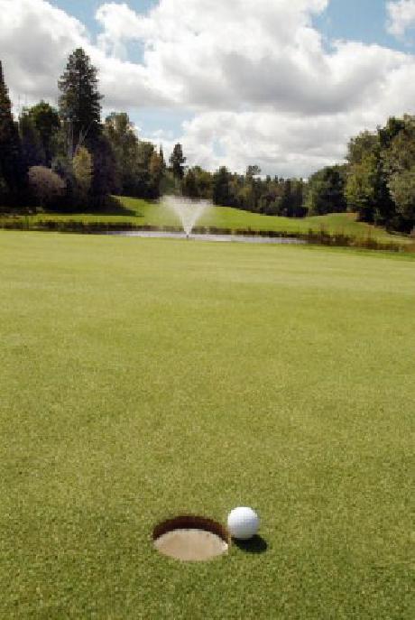 Pinestone Resort and Conference Centre