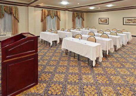 Holiday Inn Express Hotel & Suites SHERMAN HWY 75