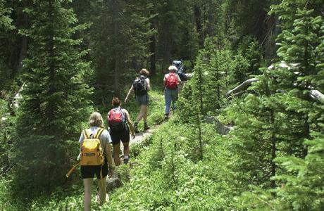 Sonnenalp Resort Of Vail