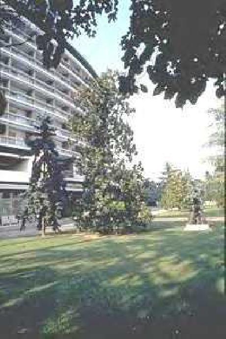 International Hotel Bertha